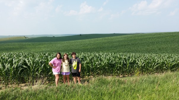 The corn just goes on forever.  